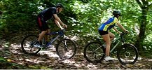 Jungle Biking Trails Suited to Various Skill Levels