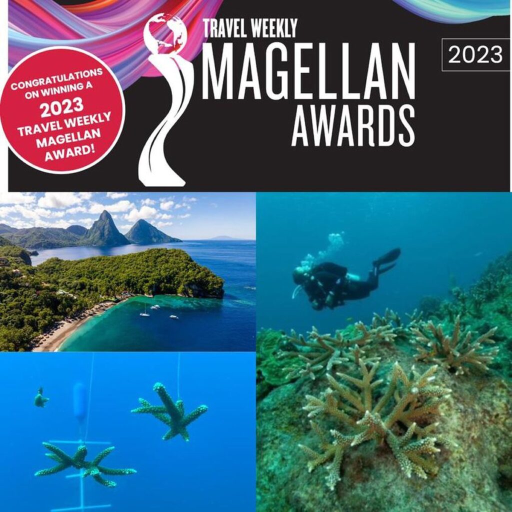 magellan award